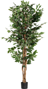 Kunstpflanze "Ficus Benjamini" 210 cm Kunstpflanze "Ficus Benjamini" 210 cm