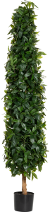 Kunstpflanze "Lorbeerbaum" 170 cm Kunstpflanze "Lorbeerbaum" 170 cm