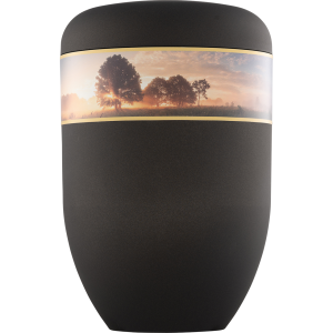 Creativ Bio-Tec³ Urne "Bäume im Nebel" Creativ Bio-Tec³ Urne "Bäume im Nebel"