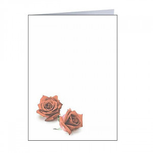 Trauerbild doppelt "rote Rosen" 105 x 140 mm, offen ( VE 100 Stück ) Trauerbild doppelt "rote Rosen" 105 x 140 mm, offen ( VE 100 Stück )