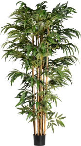 Kunstpflanze "Jade Bambus" 210 cm Kunstpflanze "Jade Bambus" 210 cm