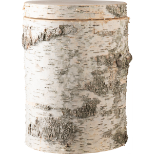 Baumstamm-Urne aus Birke mit Rinde Baumstamm-Urne aus Birke mit Rinde