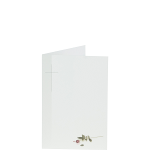 Trauerbild "liegende rote Rose" Trauerbild "liegende rote Rose"