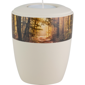 Erinnerungslicht "Waldweg im Licht" mit Memory-Fach Erinnerungslicht "Waldweg im Licht" mit Memory-Fach