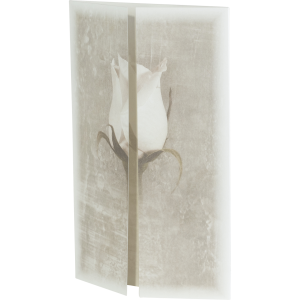 Klappkarte "Weiße Rose" - Altarfalz Klappkarte "Weiße Rose" - Altarfalz